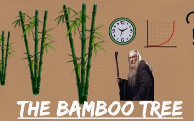The Bamboo Story