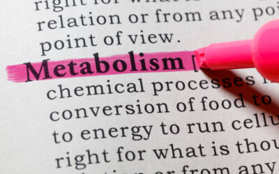 Deciphering the Relationship Between HCG Diet and Metabolism